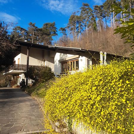 Marzola Bed & Breakfast Trento Dış mekan fotoğraf