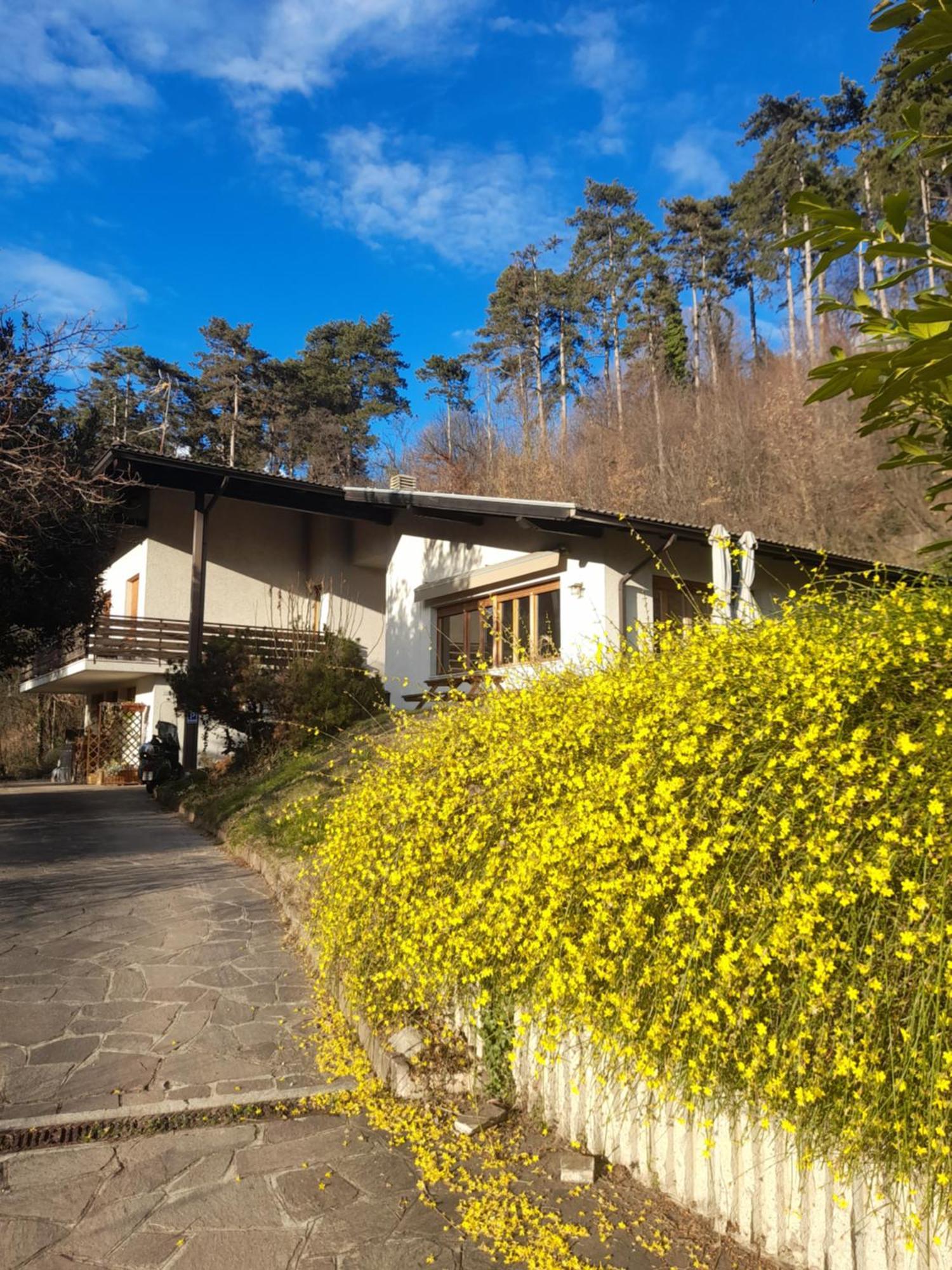 Marzola Bed & Breakfast Trento Dış mekan fotoğraf